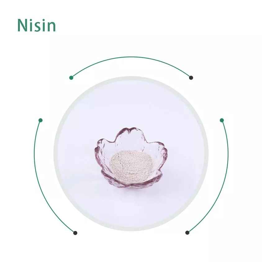 Nisin Natural Food Preservative with High Efficiency