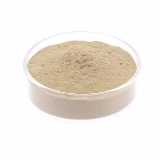 면역력을 강화하는 고품질 Bacillus Licheniformis